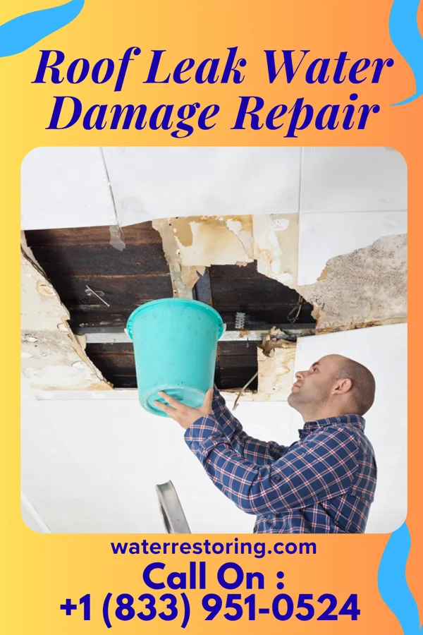 Roof Leak Water Damage Repair in Belvidere, NE